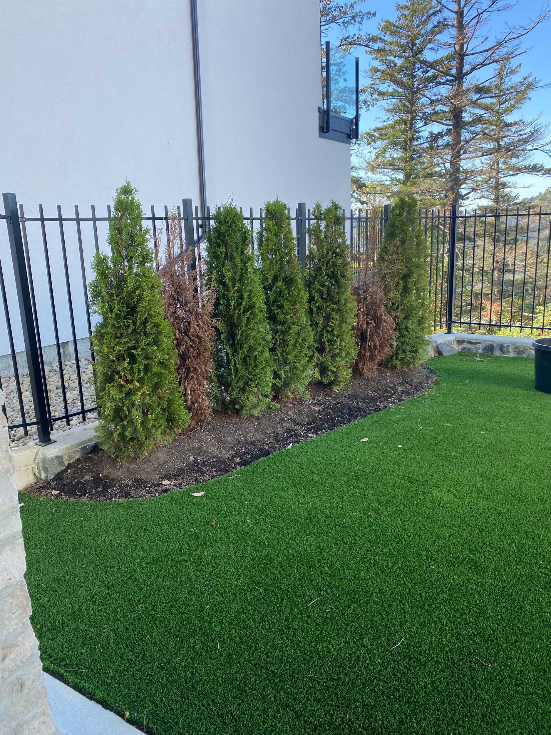 Garden pathway and planting composition