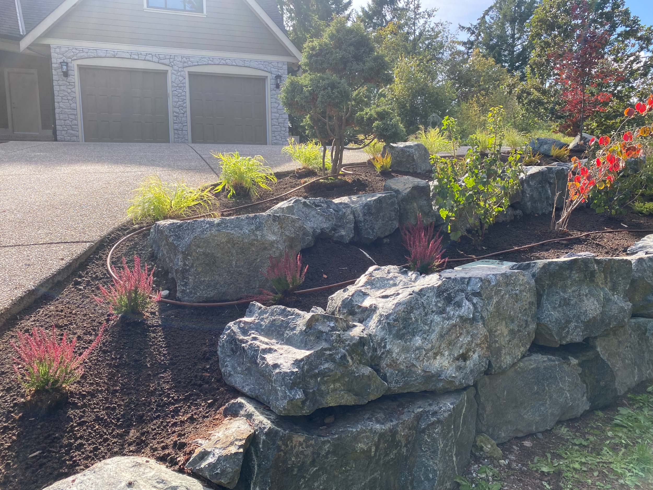 Custom residential landscaping with lush planting