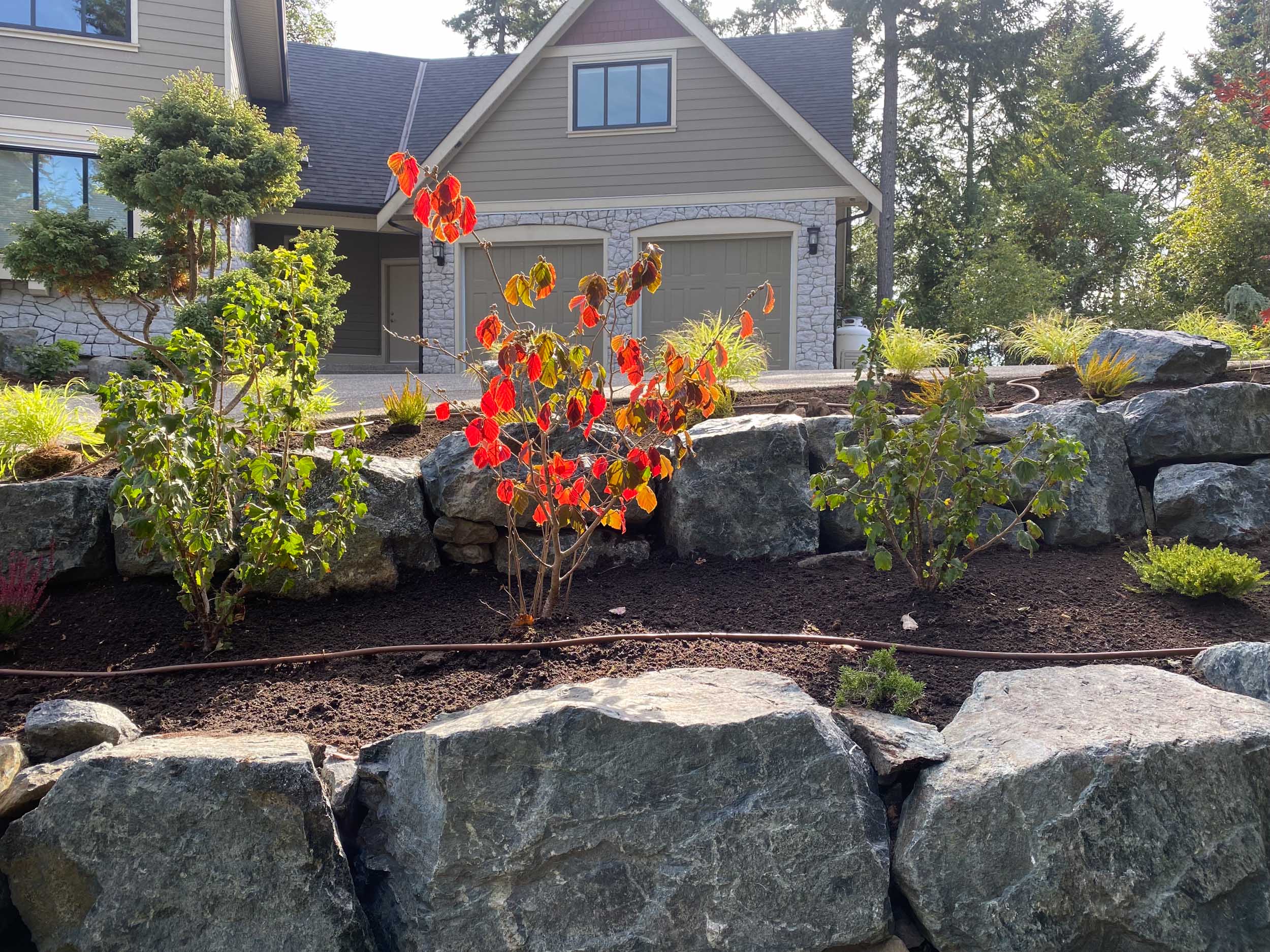 Stone edging and structured planting beds