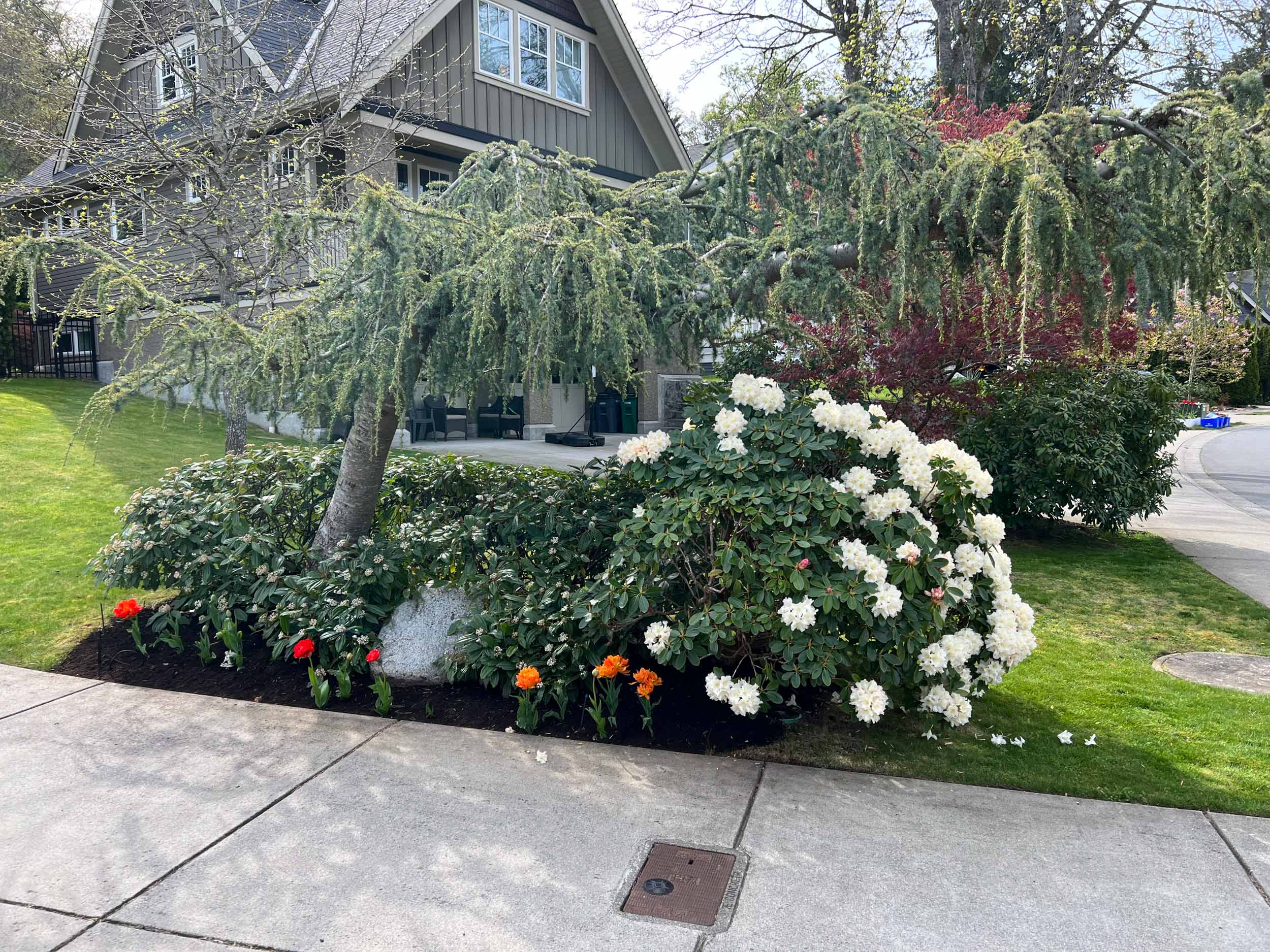 Entry landscape sequence with clean hardscape lines