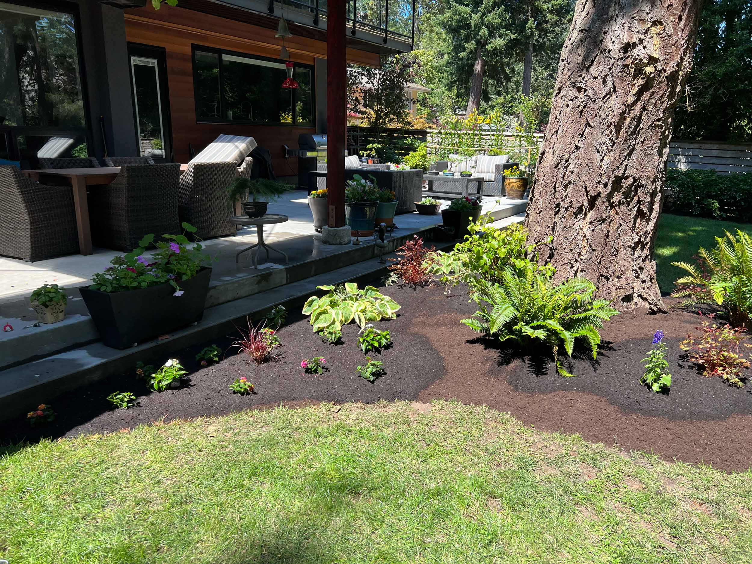 Detailed exterior build with balanced planting