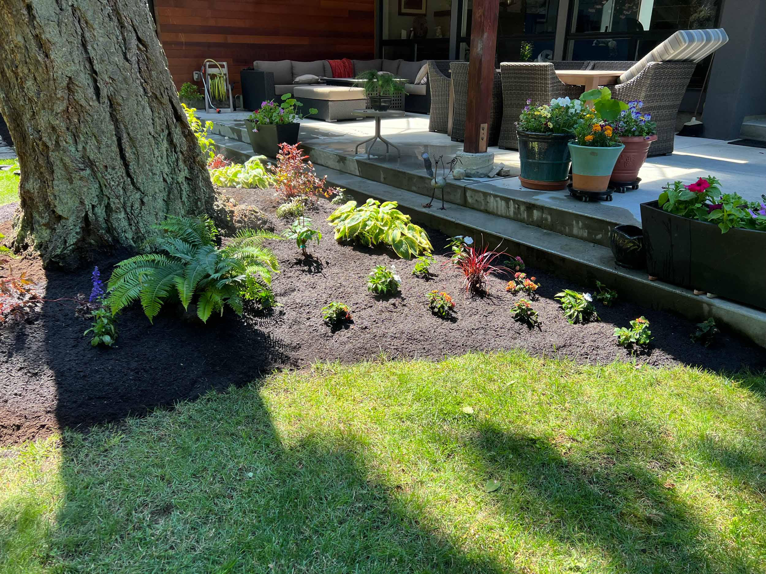 Custom landscape features and softscape balance